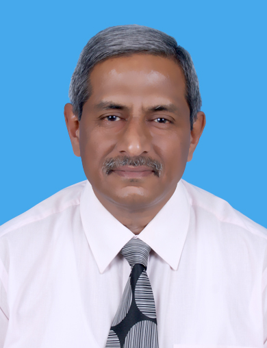 Dr. NS Mani, Principal & Professor